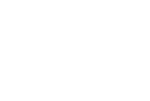 Debifi