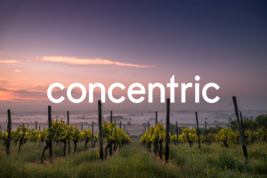 Concentric Partner Letter #27: A Superior Vintage in the Making?