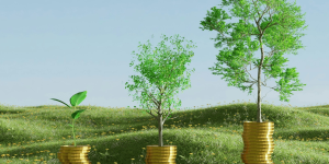 Stablecoins: A Primer For Family Offices